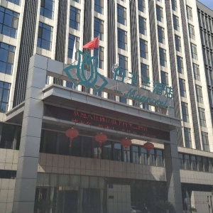 嘉祥白玉兰酒店幕墙格栅
